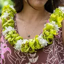 Double Green Orchid & Tuberose Lei