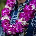 Double Purple Orchid & Tuberose Lei