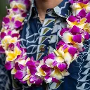 Double Yellow Plumeria & Purple Orchid Lei