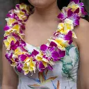 Double Yellow Plumeria & Purple Orchid Lei