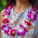 Single Orchid, Tuberose & Carnation Lei