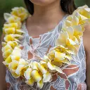 Single Plumeria Lei