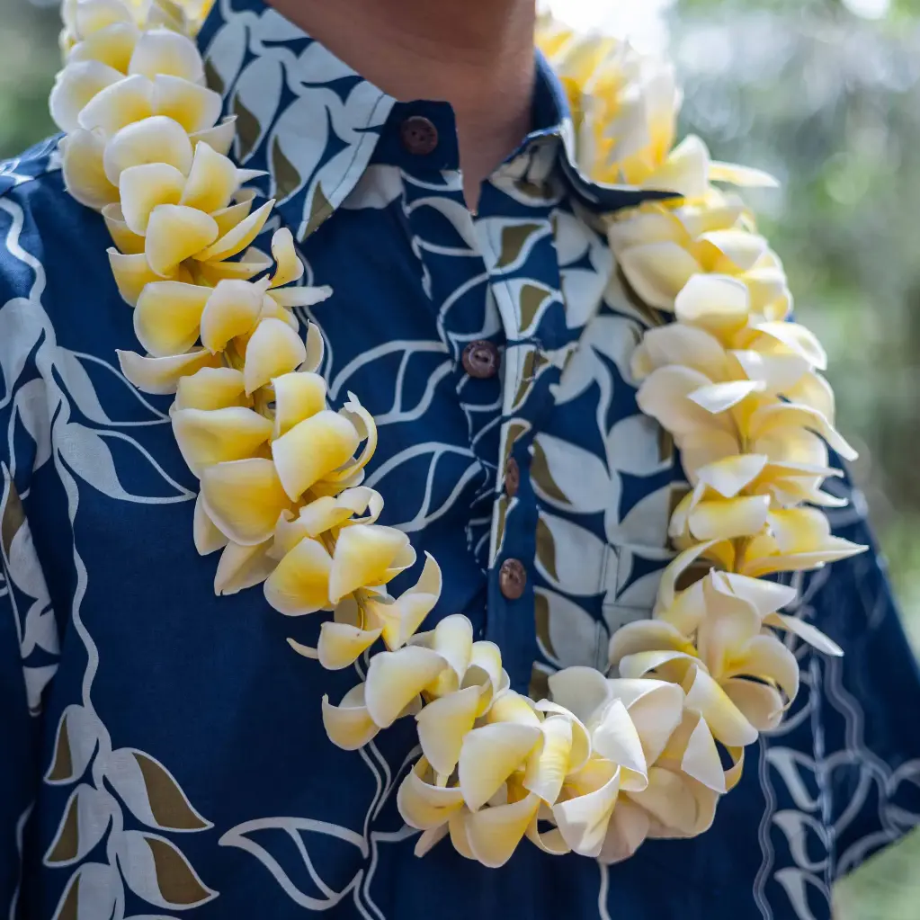 Single Plumeria Lei