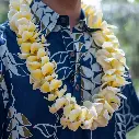 Single Plumeria Lei