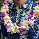 Single Purple Orchid & Plumeria Mix Lei