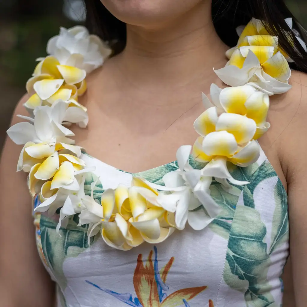 Single White Orchid & Plumeria Lei