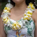 Single White Orchid & Plumeria Lei