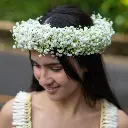 Babys Breath Haku
