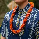 Cigar (2 Color) Lei