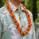 Cigar (3 Color) Lei