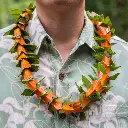 Hala Lei