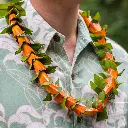 Hala Lei