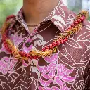 He'e Kukuna'o'kala Twist