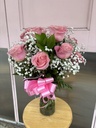 1 Dozen Roses - Pink