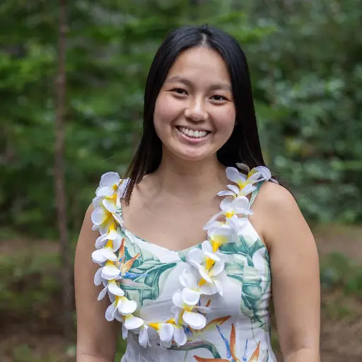 Artificial Single Yellow Plumeria Lei