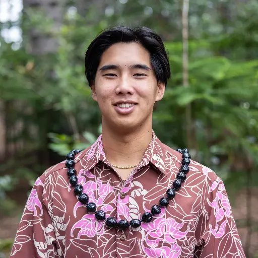 Artificial Kukui Lei (Black)